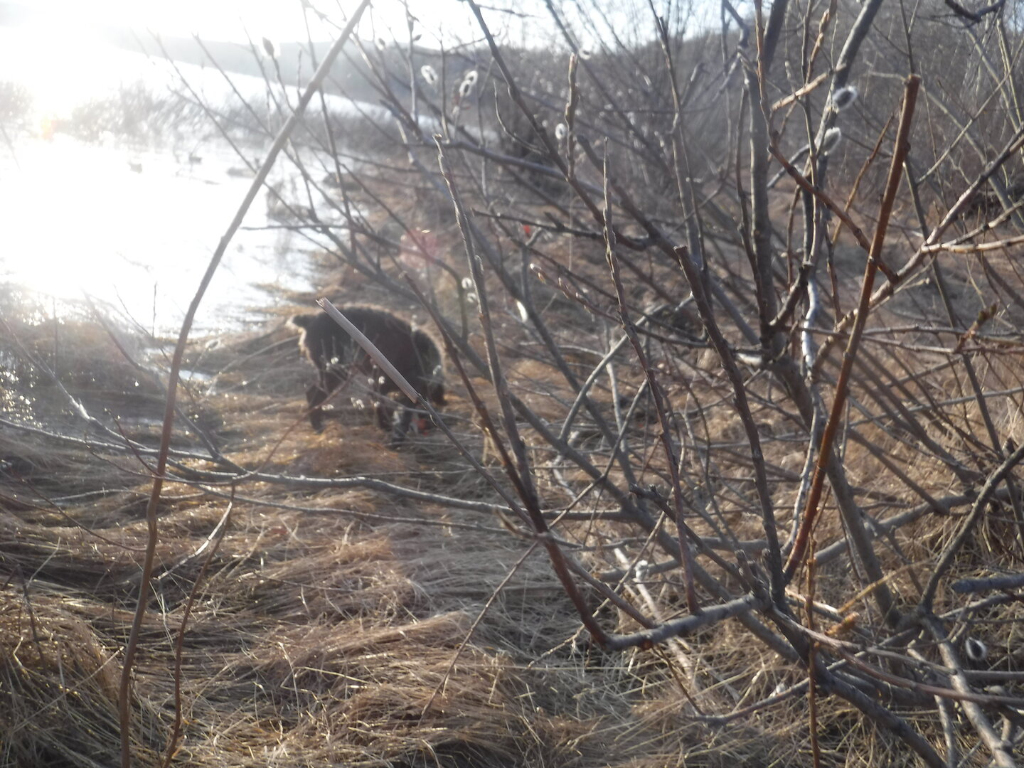 DSCF1529.JPG