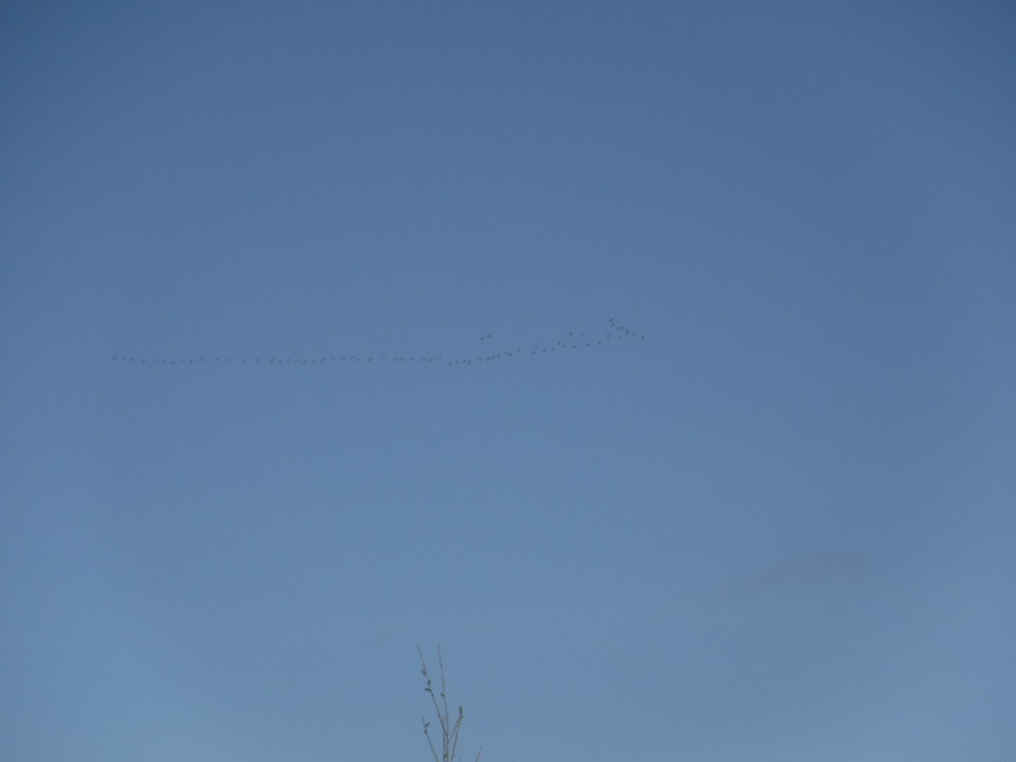 DSCF1534.JPG