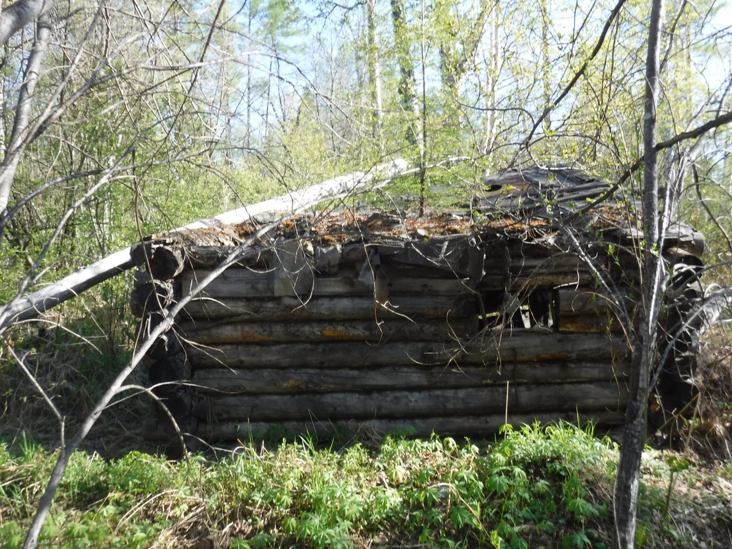 DSCF1540.JPG