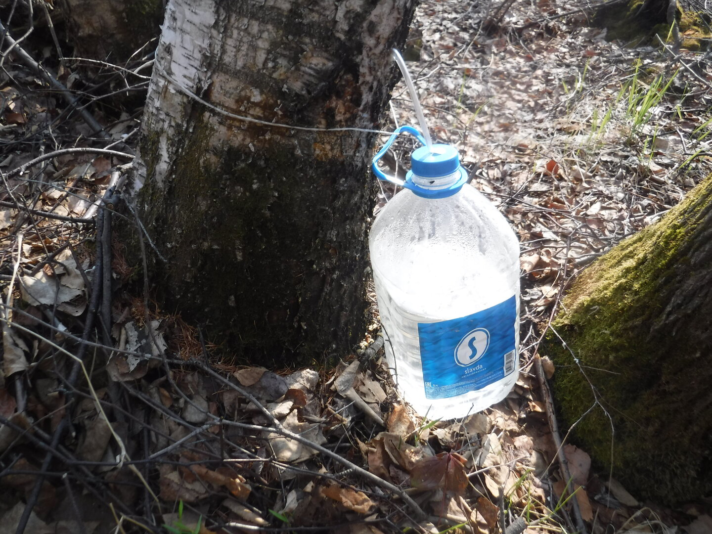 DSCF1540.JPG