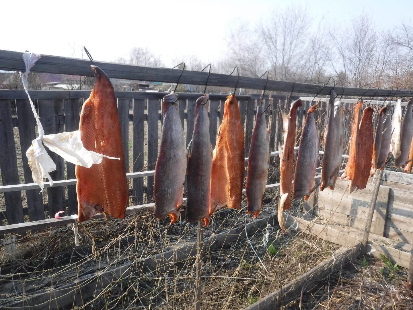 DSCF1543.JPG