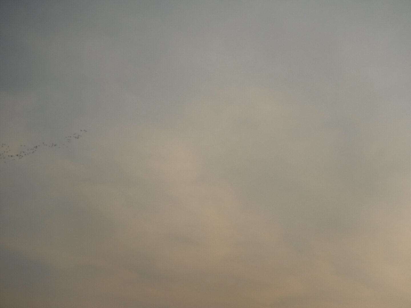 DSCF1548.JPG