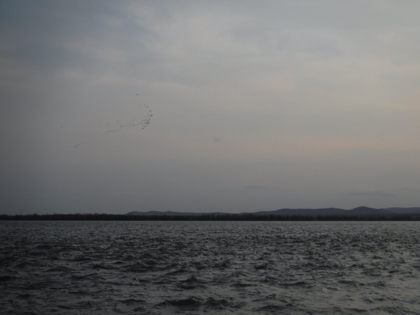DSCF1550.JPG