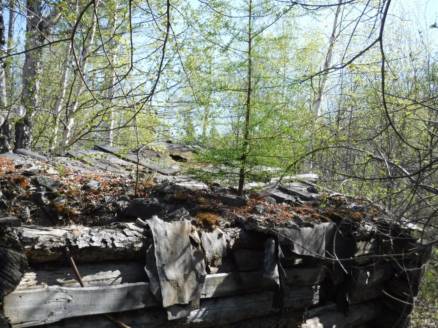 DSCF1564.JPG