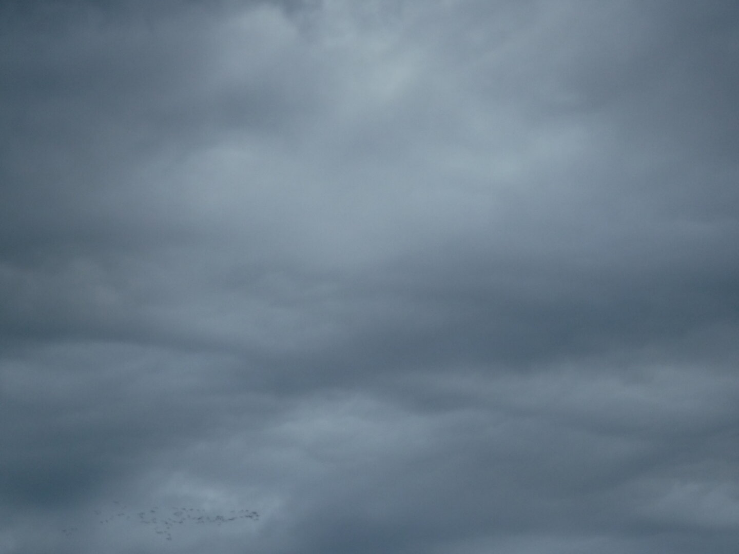 DSCF1571.JPG