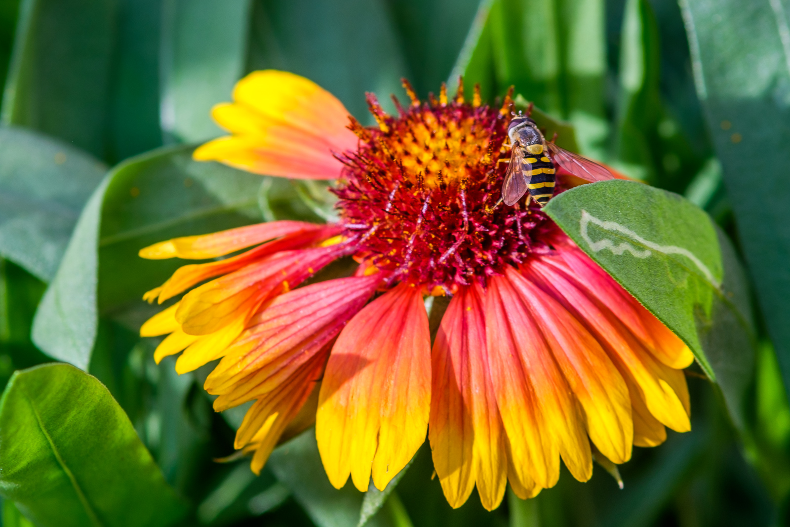 DSCF1588.jpg