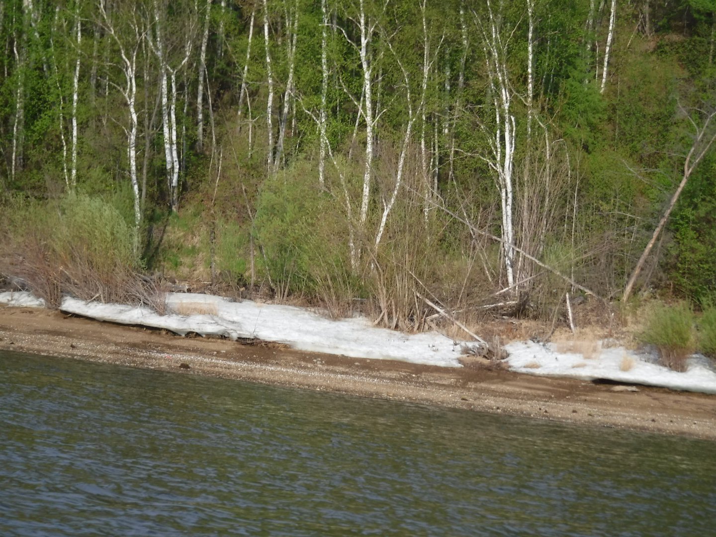 DSCF1592.JPG