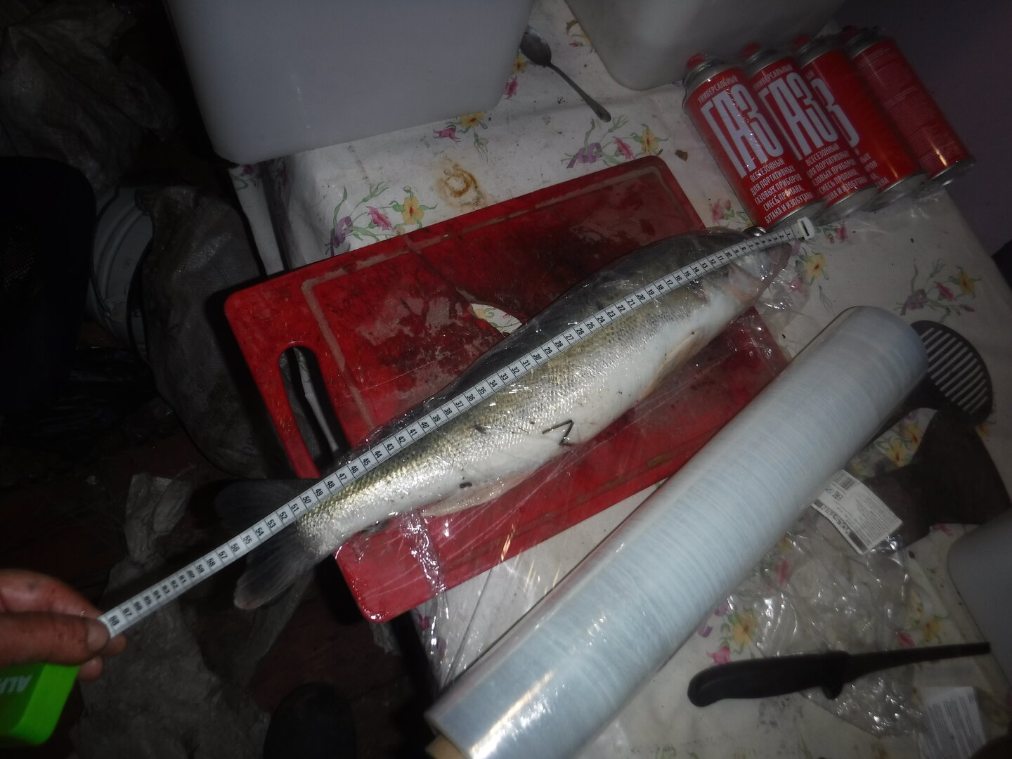 DSCF1593.JPG