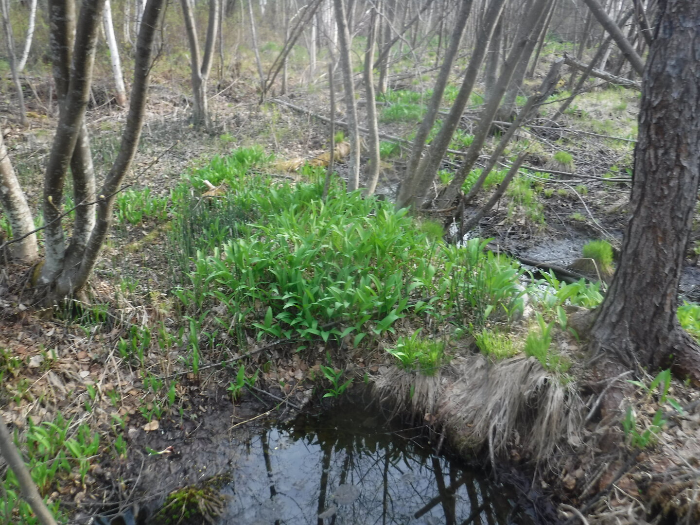 DSCF1601.JPG
