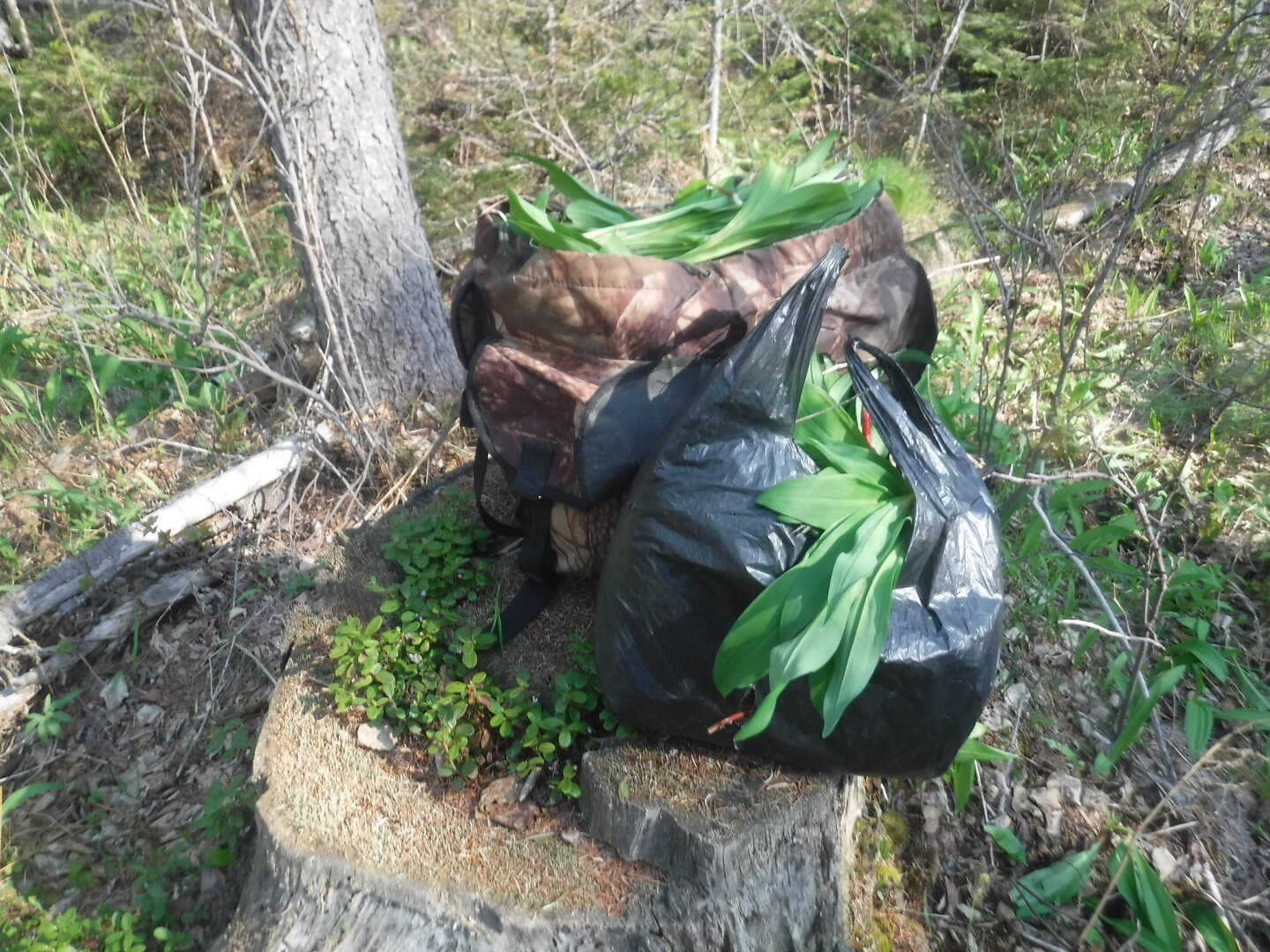 DSCF1609.JPG