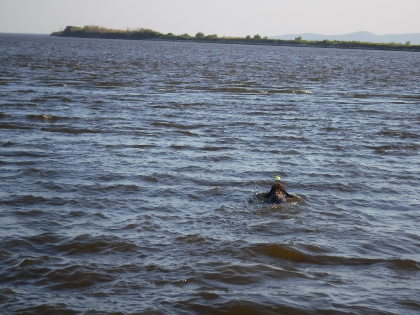 DSCF1613.JPG