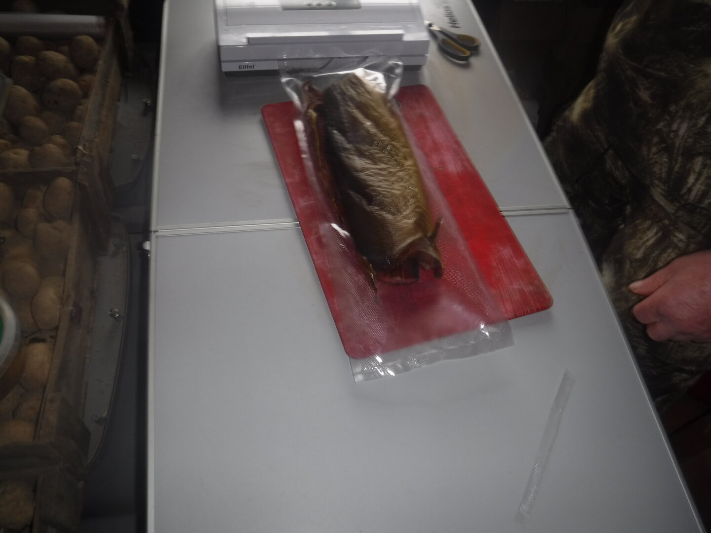 DSCF1621.JPG