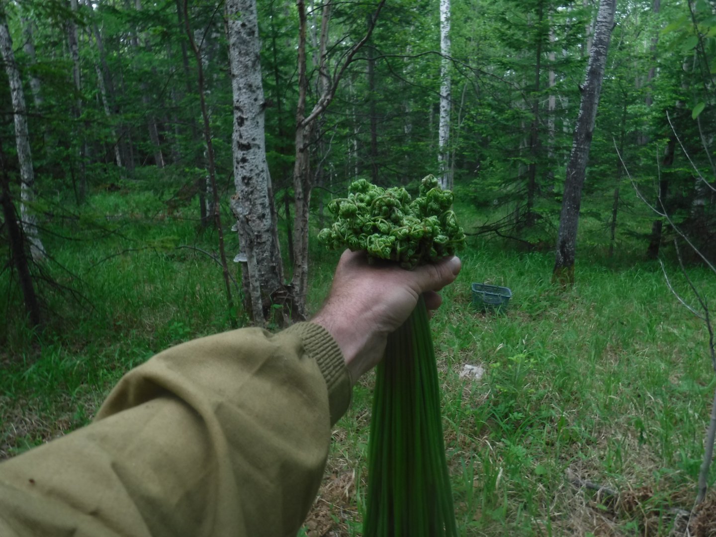 DSCF1628.JPG