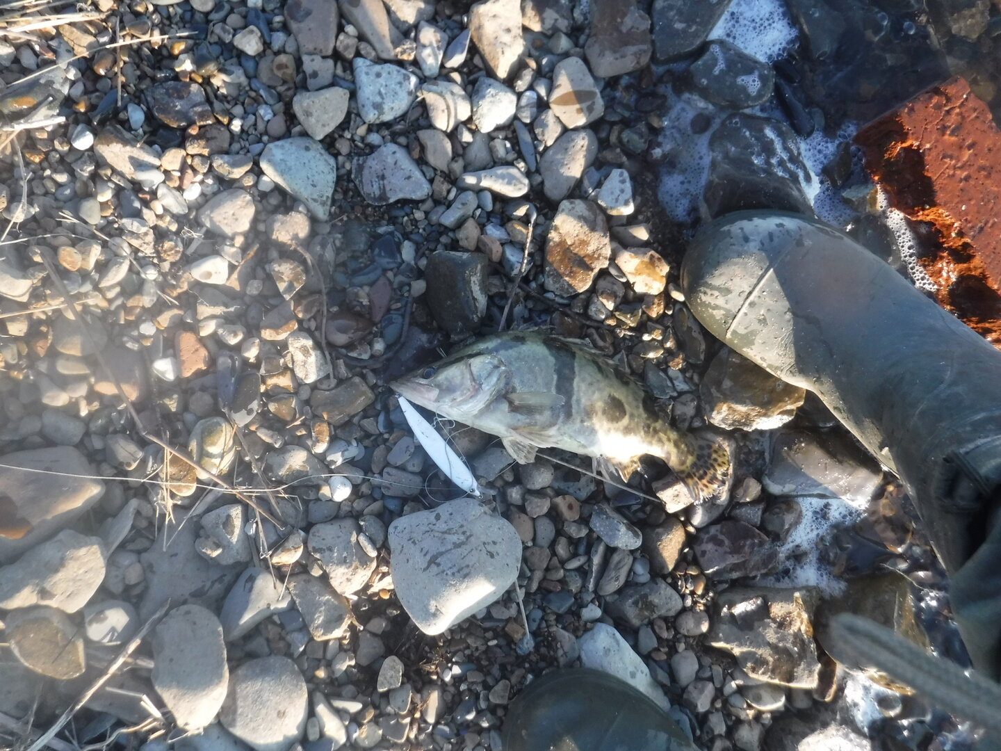 DSCF1635.JPG