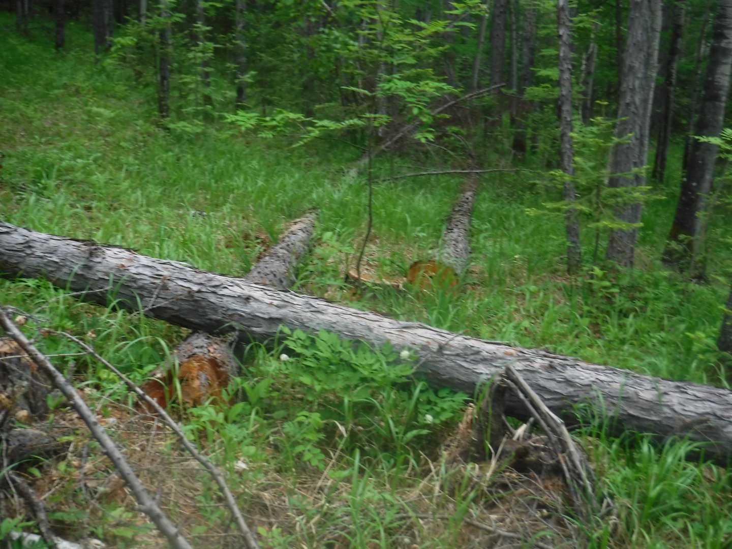 DSCF1645.JPG