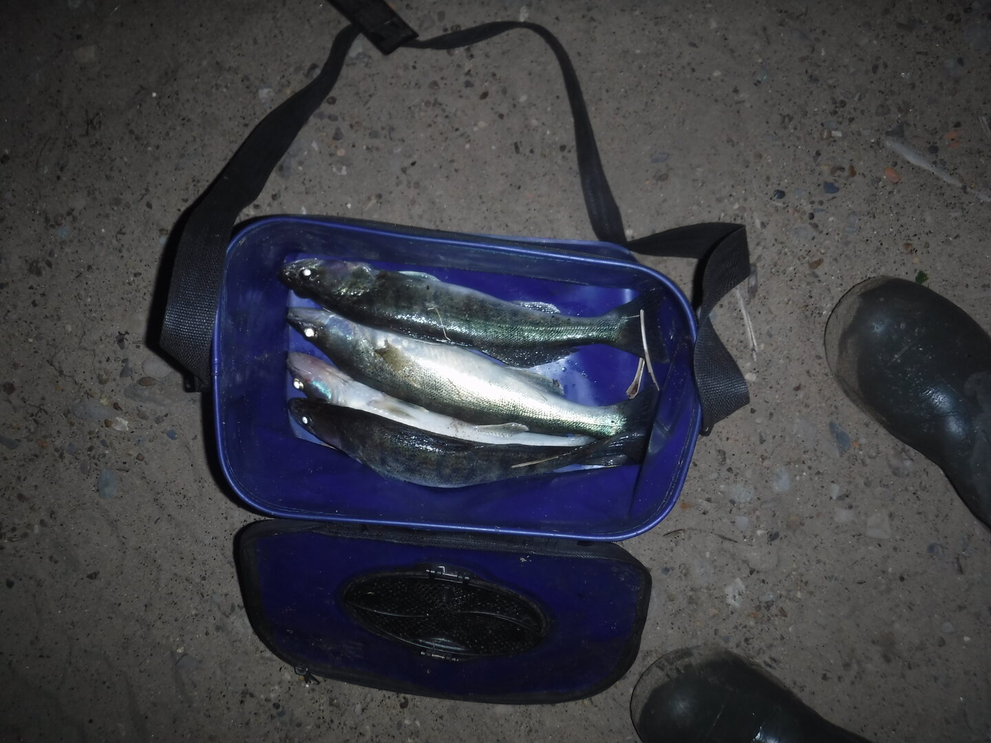 DSCF1646.JPG