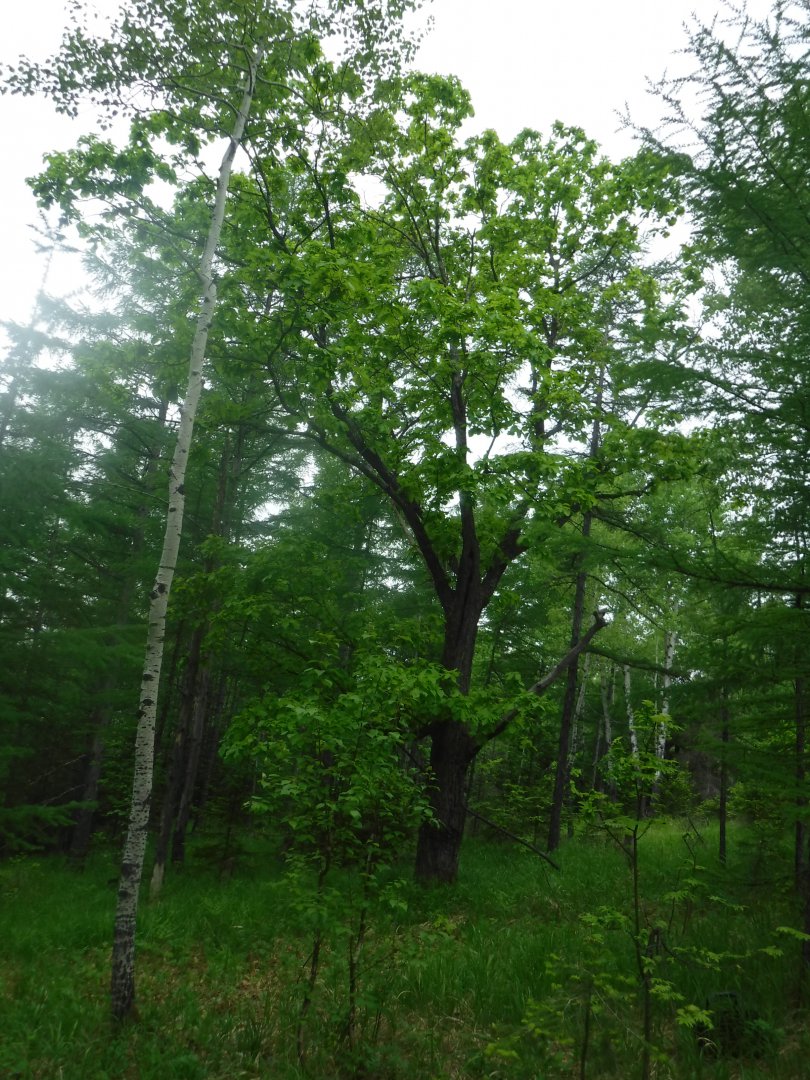 DSCF1649.JPG