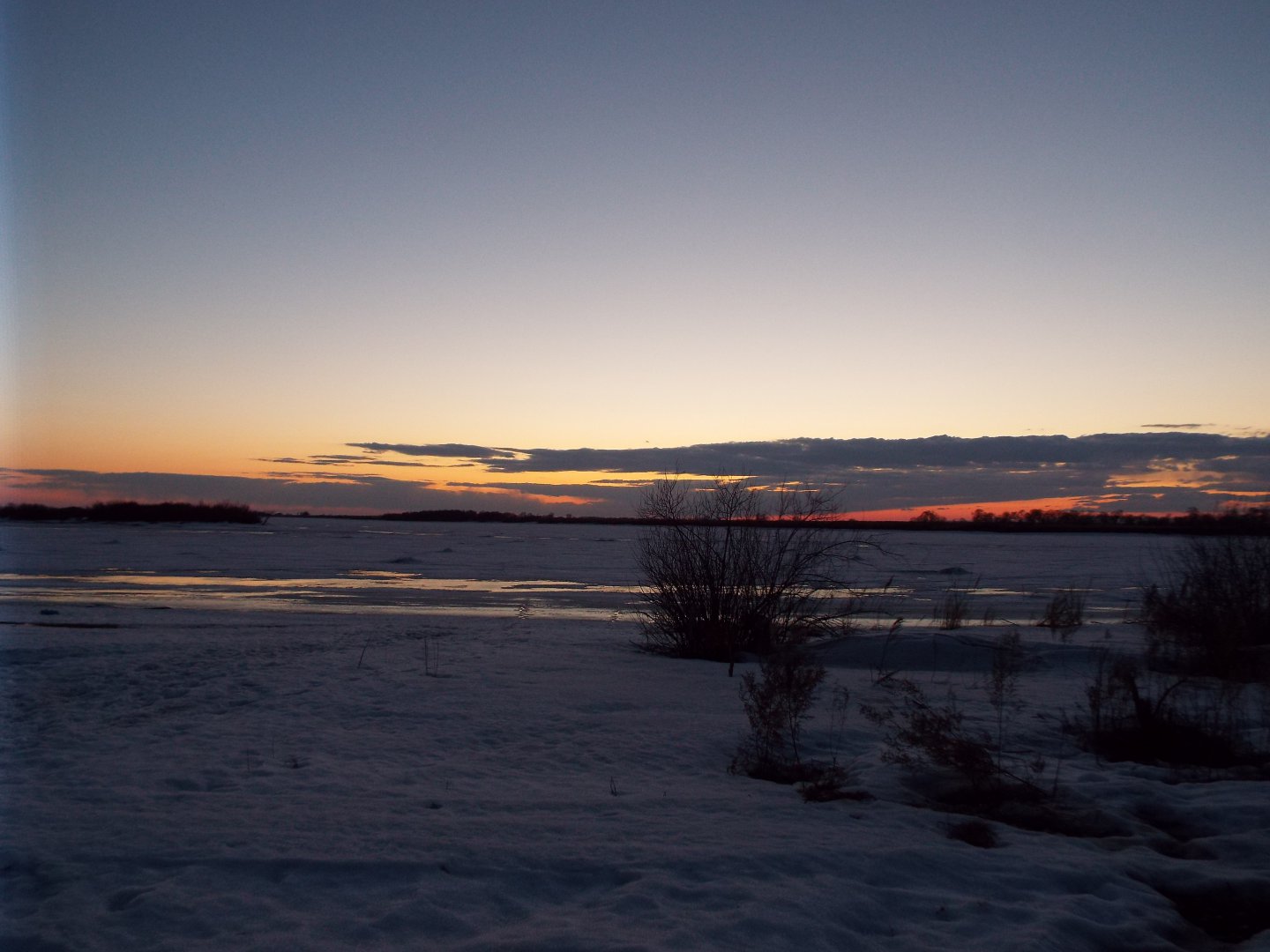 DSCF1650.JPG