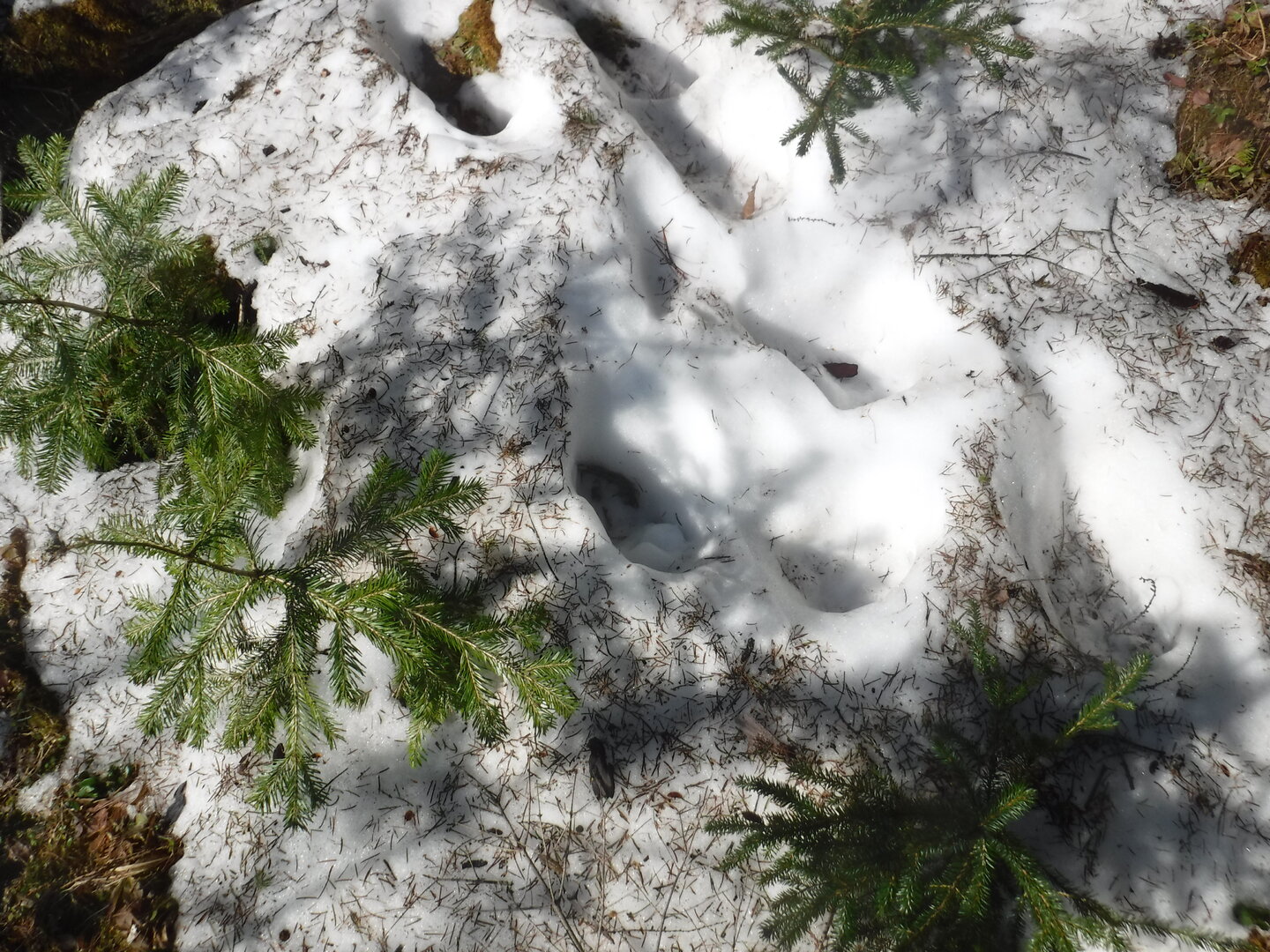 DSCF1658.JPG