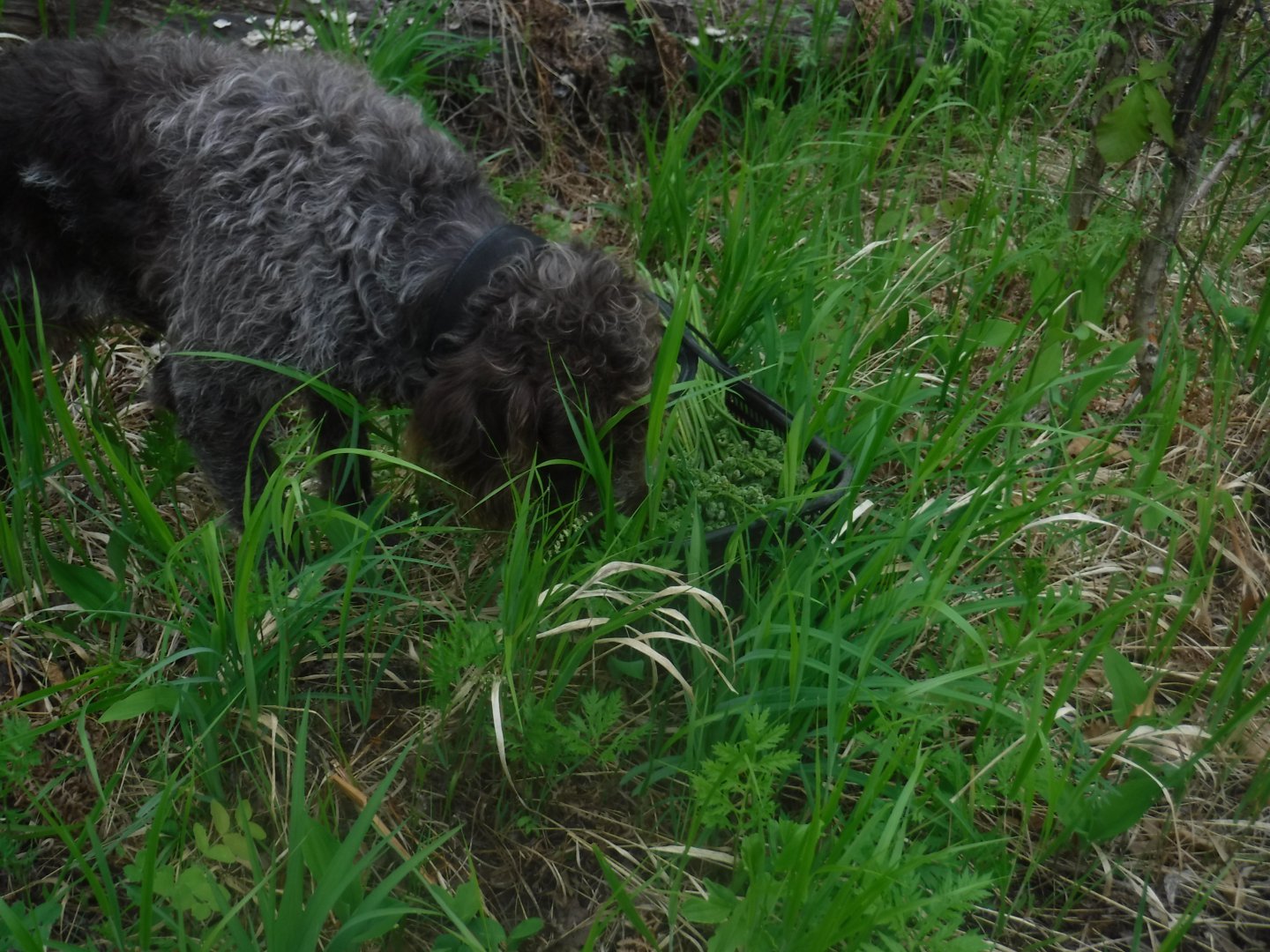 DSCF1659.JPG