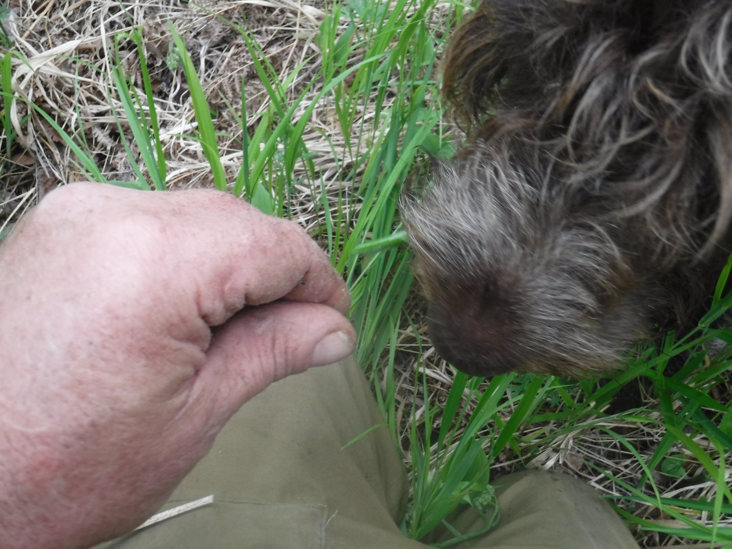 DSCF1664.JPG