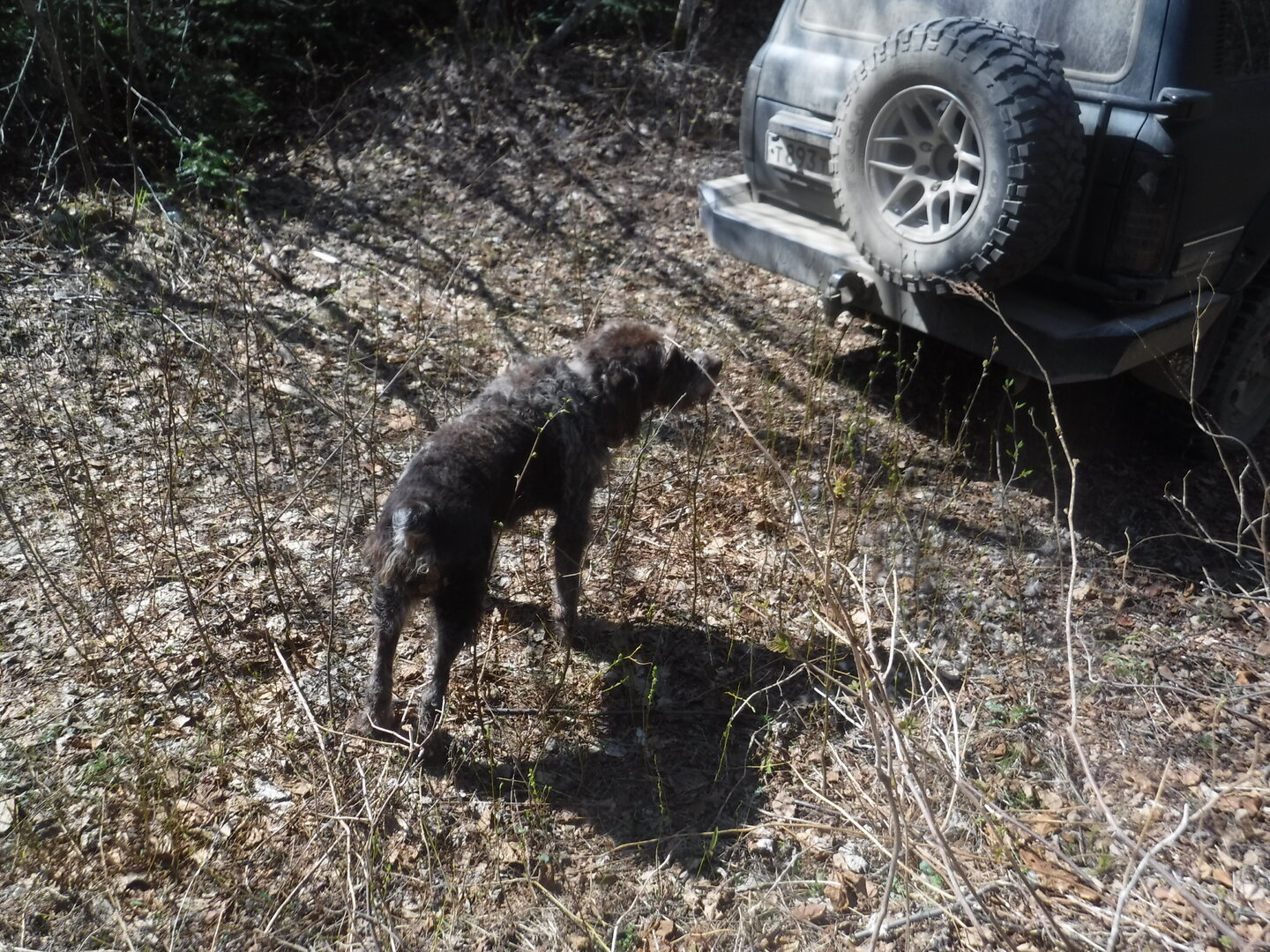 DSCF1670.JPG