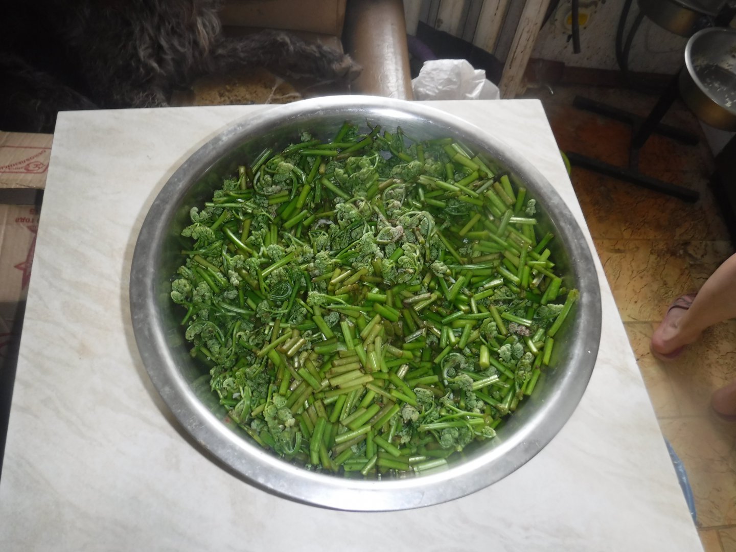 DSCF1681.JPG