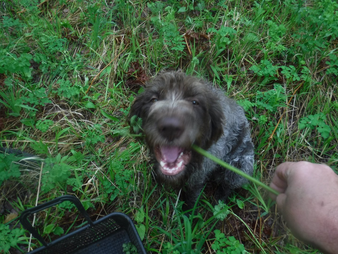 DSCF1713.JPG