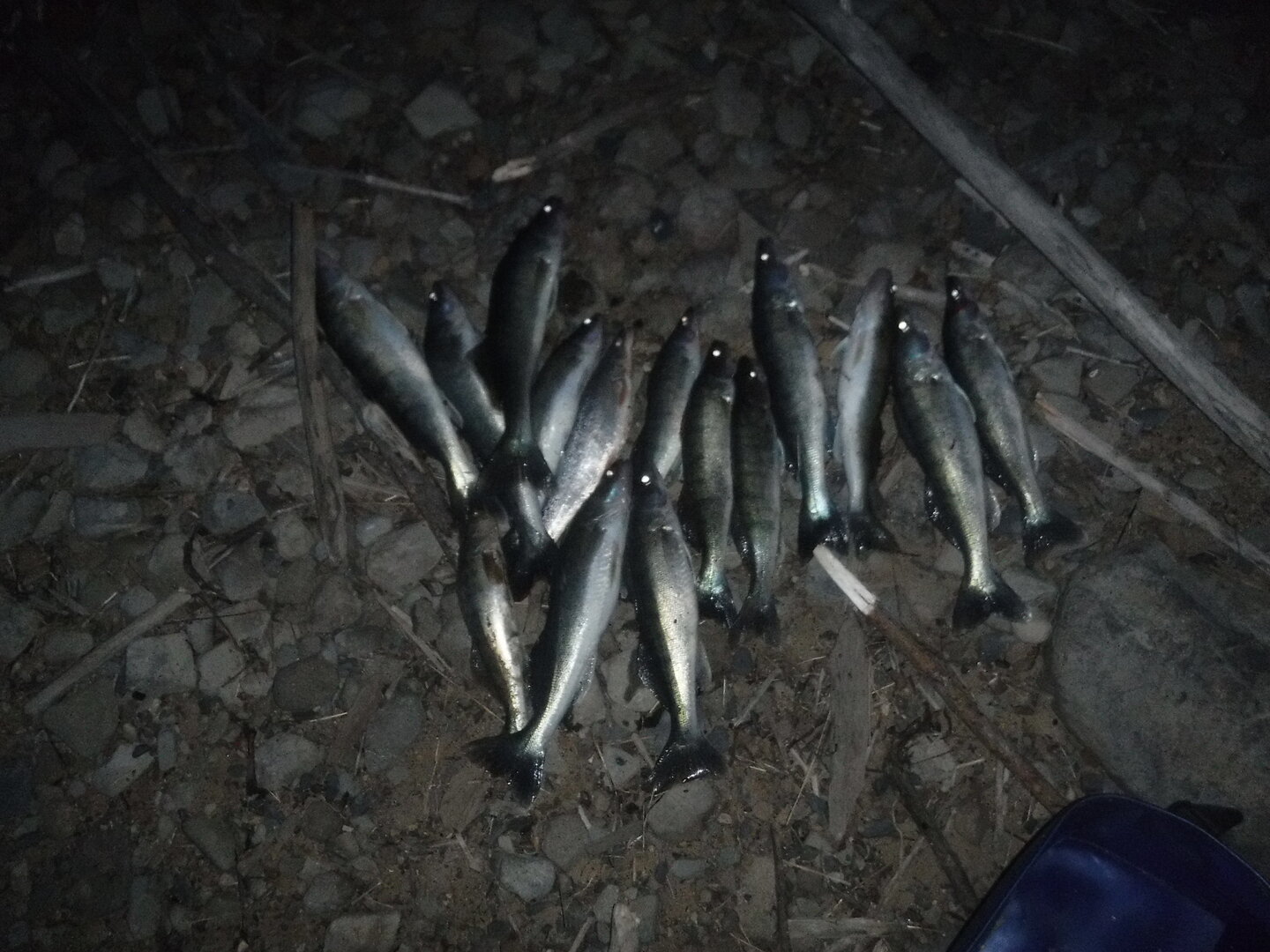 DSCF1739.JPG