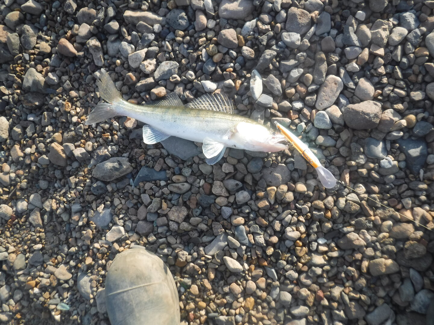 DSCF1776.JPG
