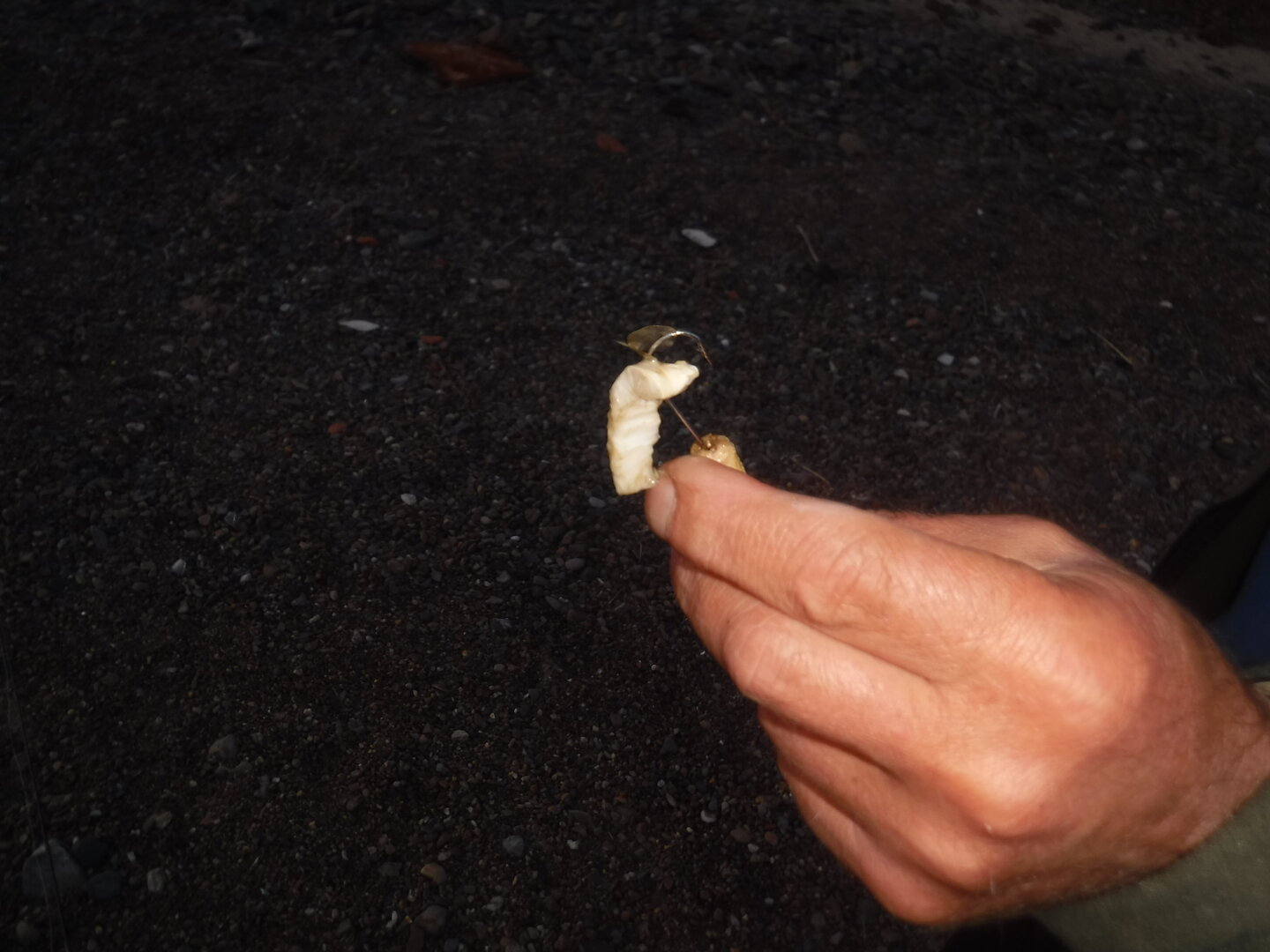 DSCF1781.JPG