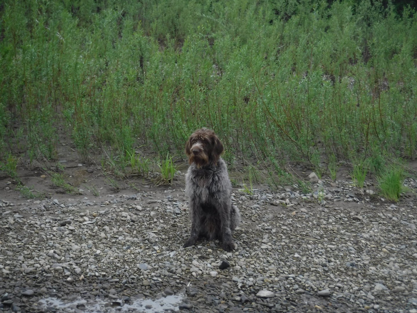 DSCF1786.JPG