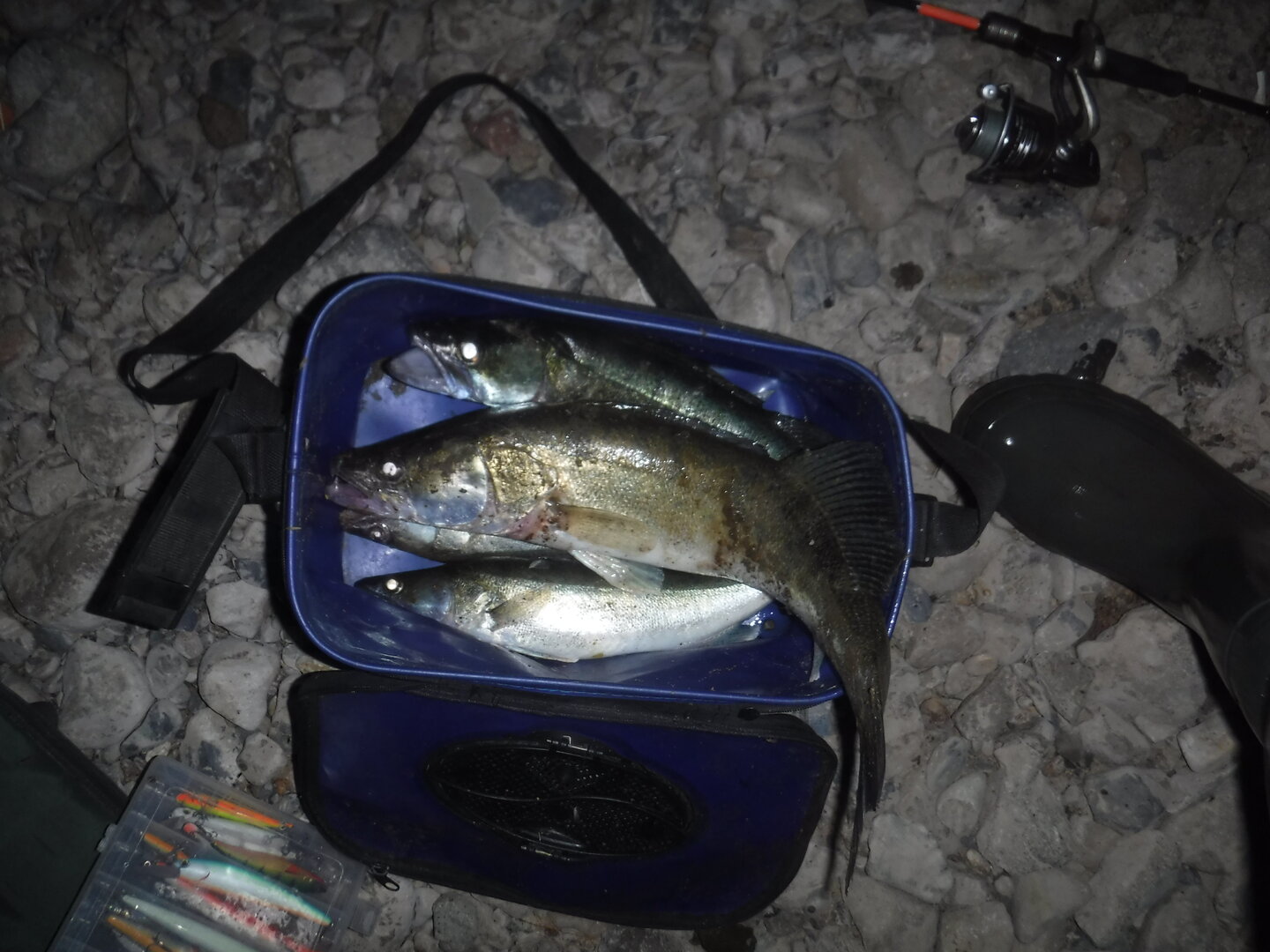 DSCF1786.JPG