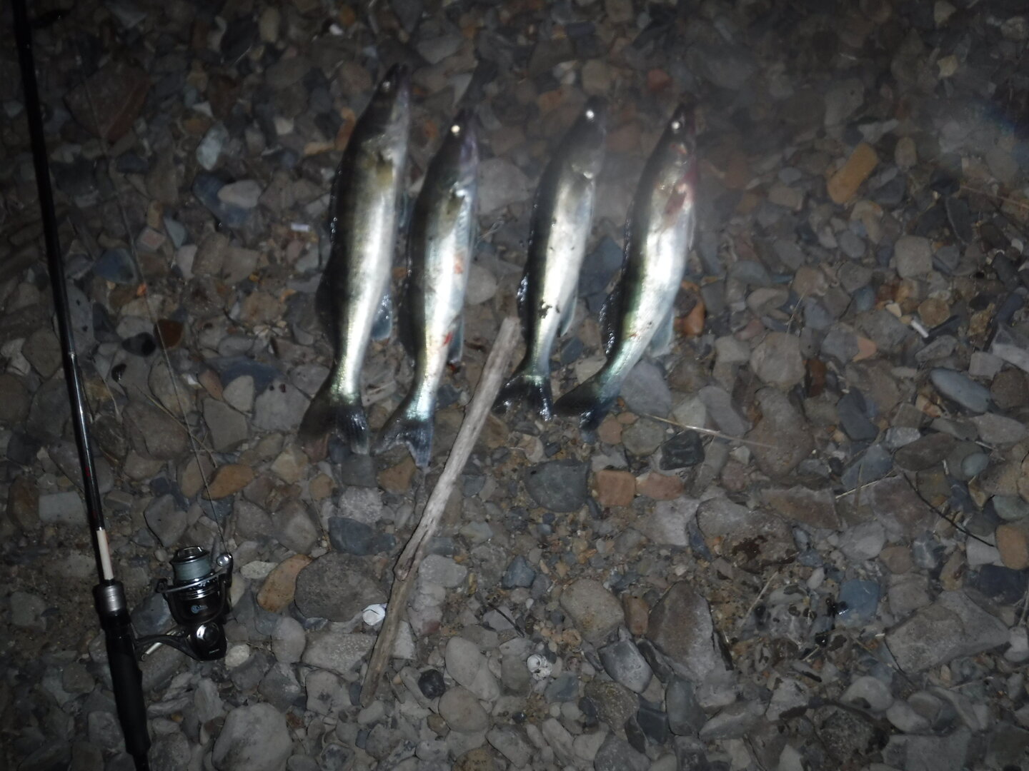 DSCF1799.JPG