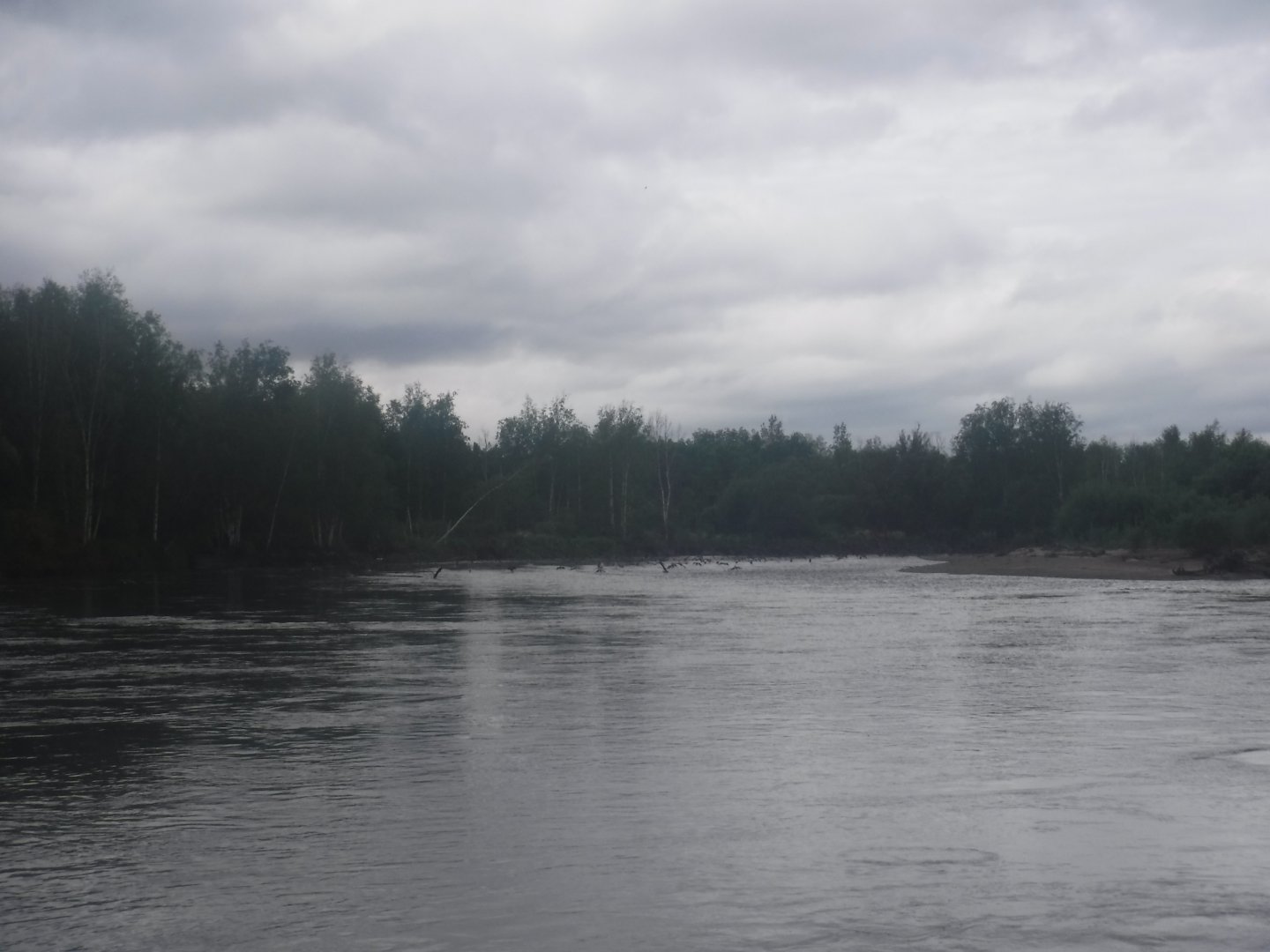 DSCF1800.JPG