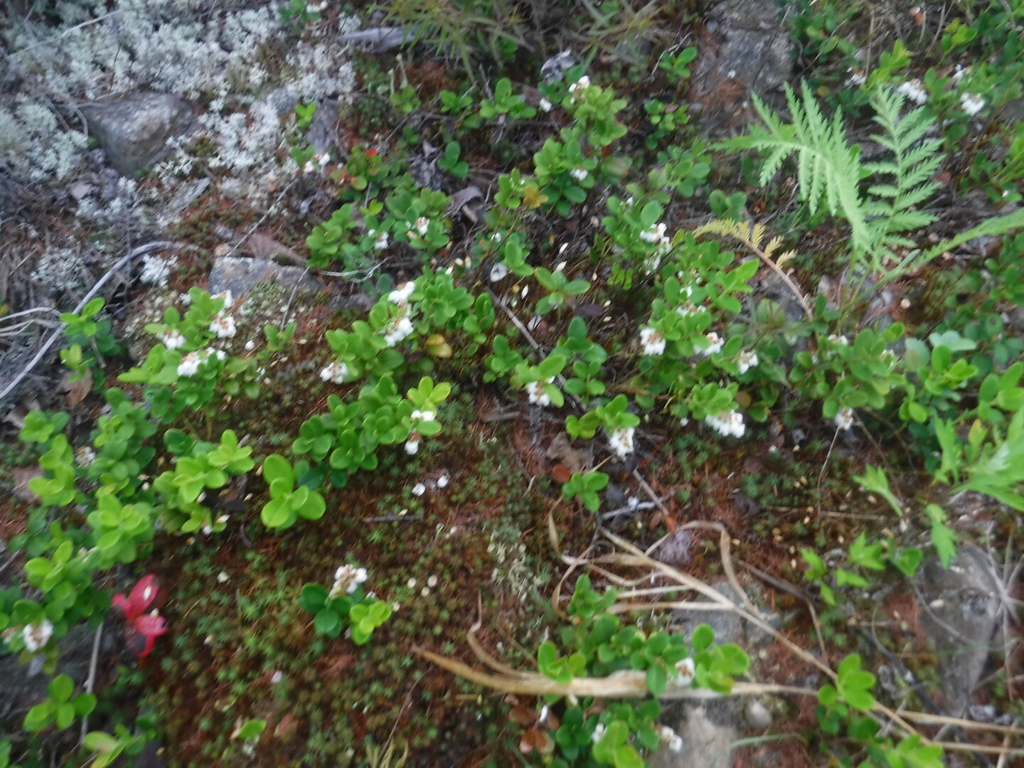 DSCF1804.JPG