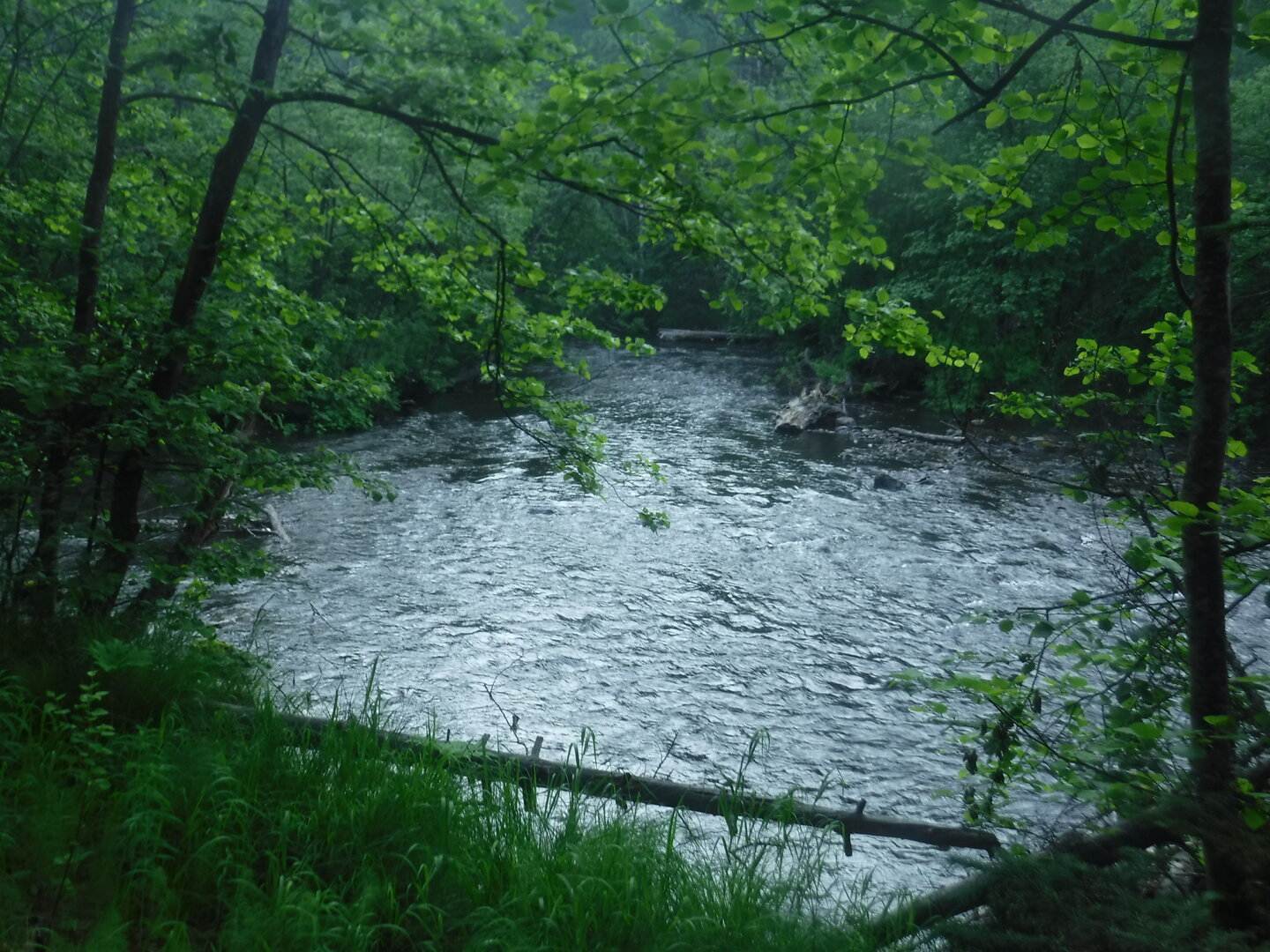 DSCF1805.JPG