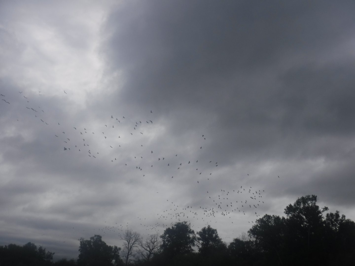 DSCF1806.JPG