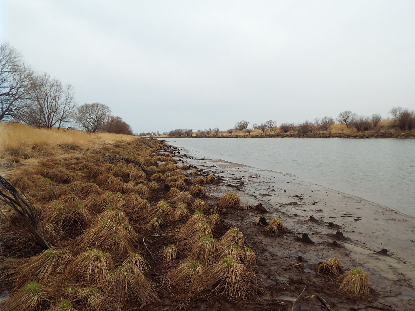 DSCF1829.JPG