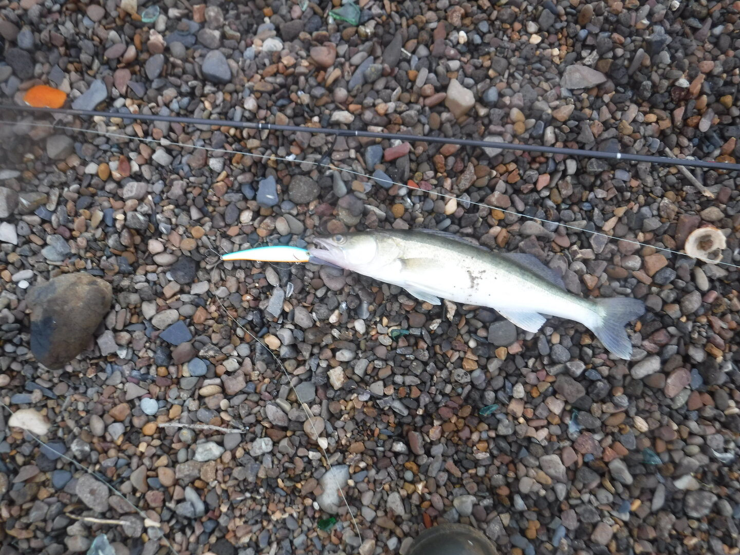 DSCF1838.JPG