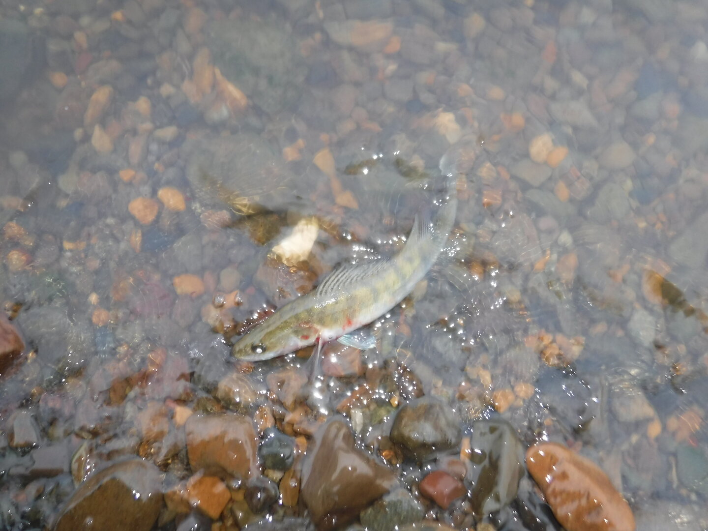 DSCF1840.JPG