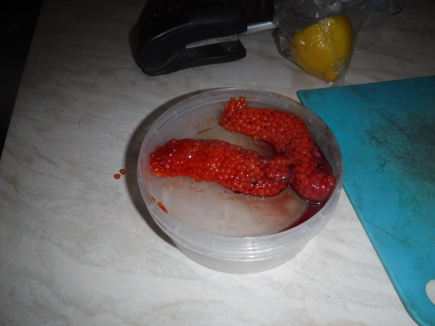 DSCF1847.JPG