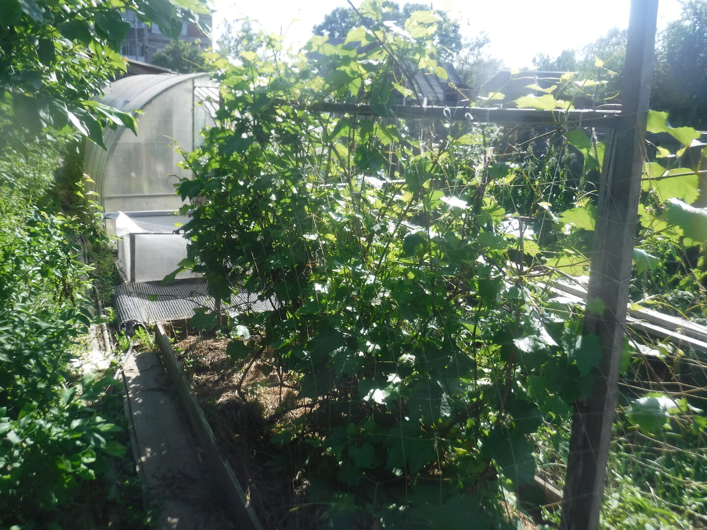 DSCF1850.JPG