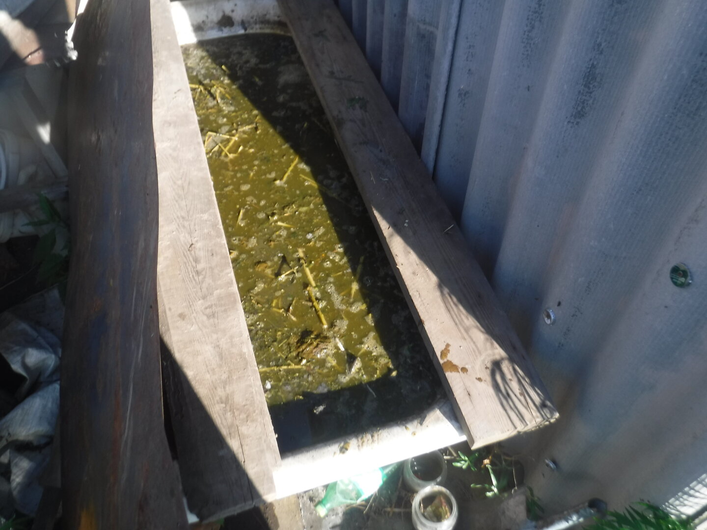 DSCF1851.JPG
