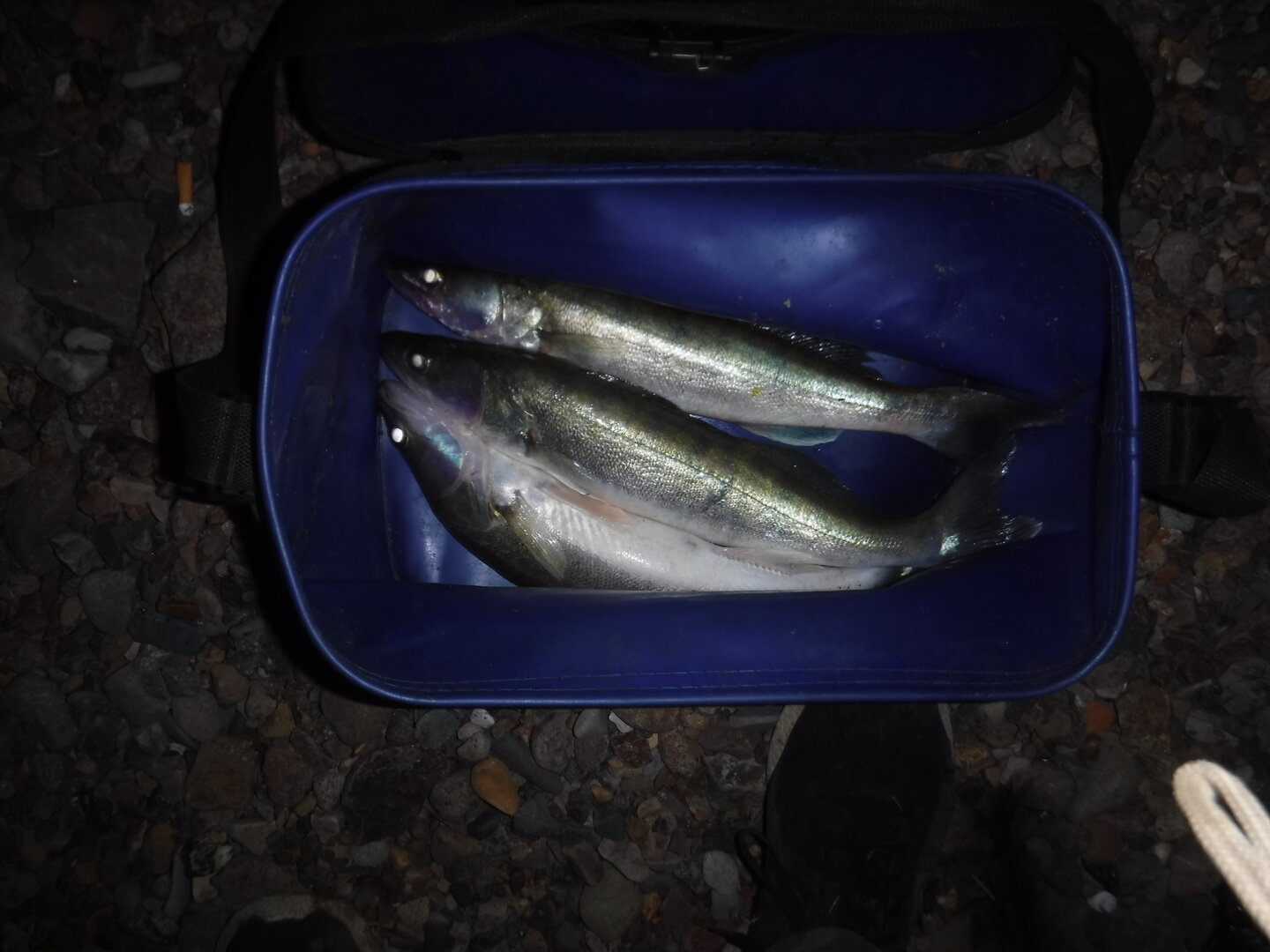 DSCF1854.JPG
