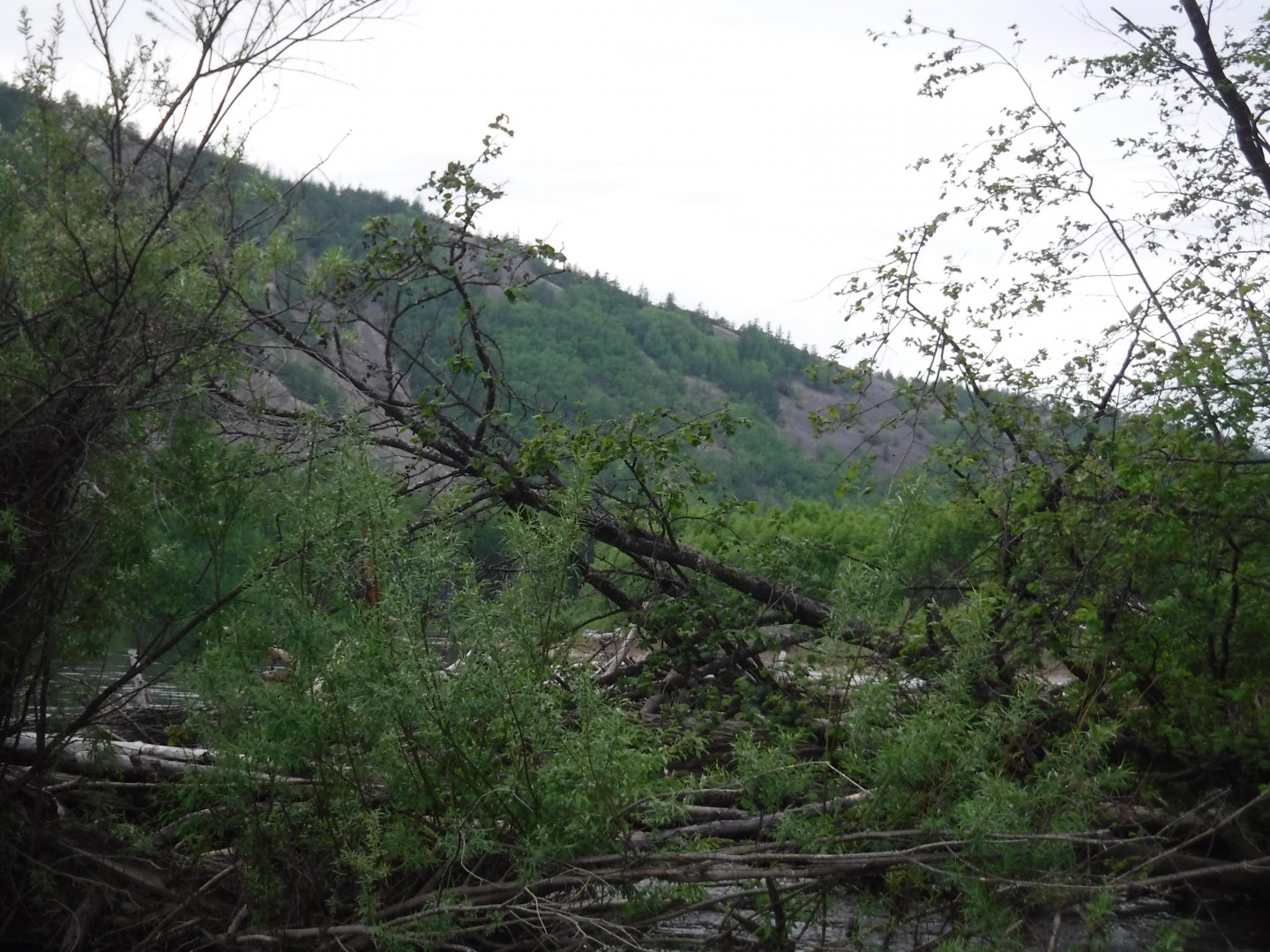 DSCF1858.JPG