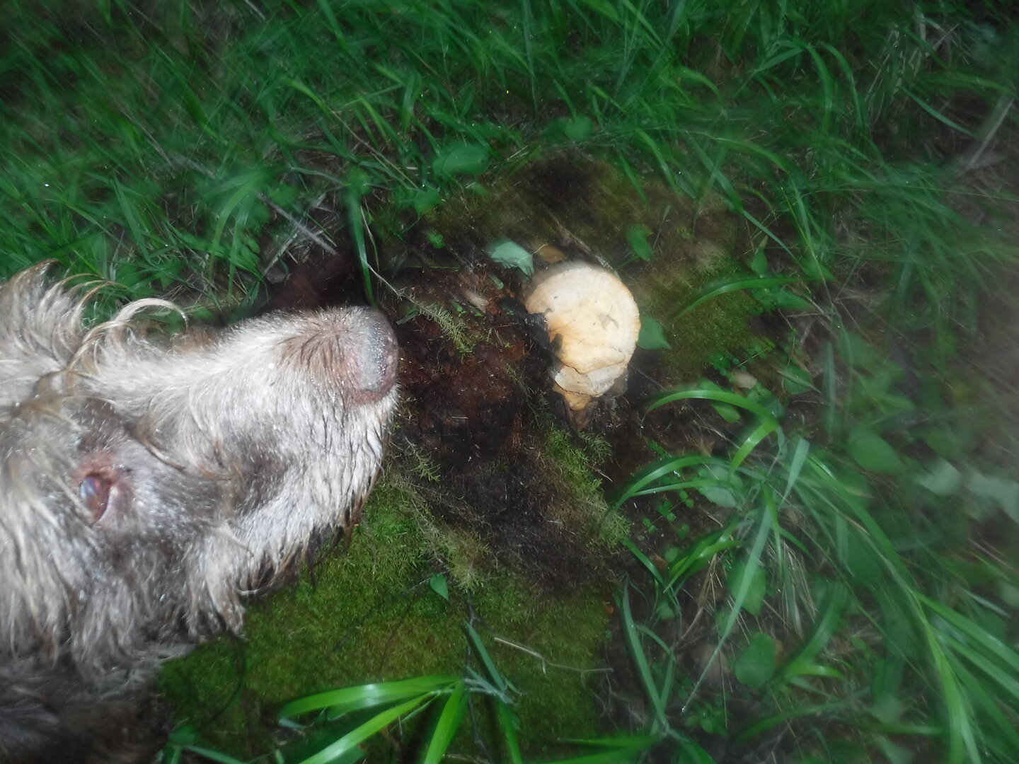 DSCF1871.JPG
