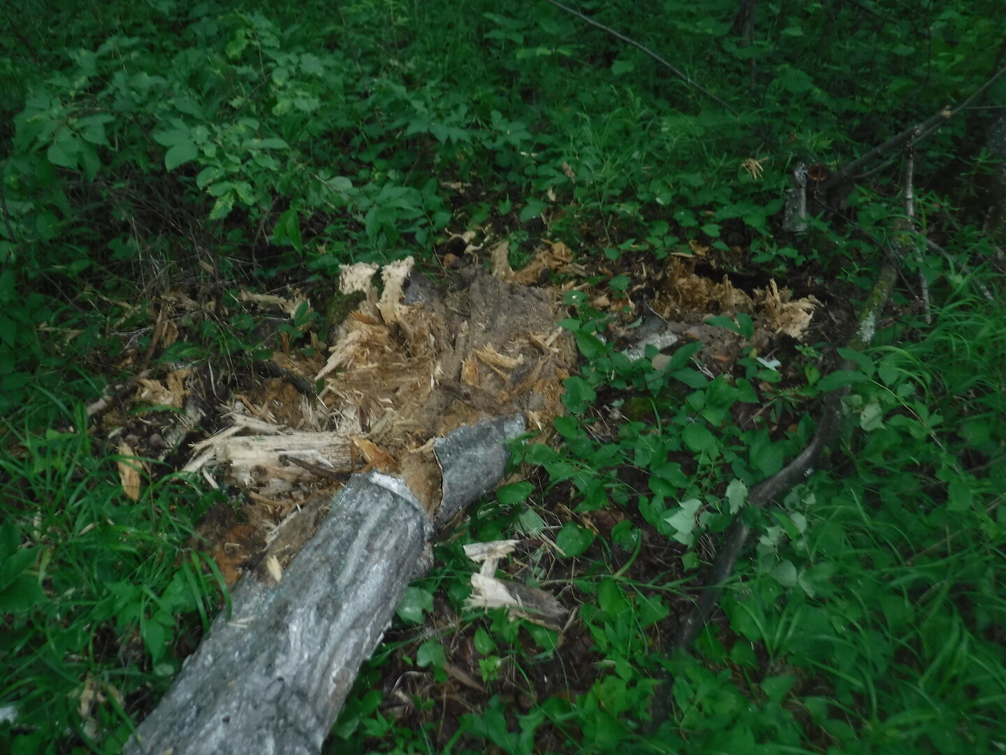 DSCF1872.JPG