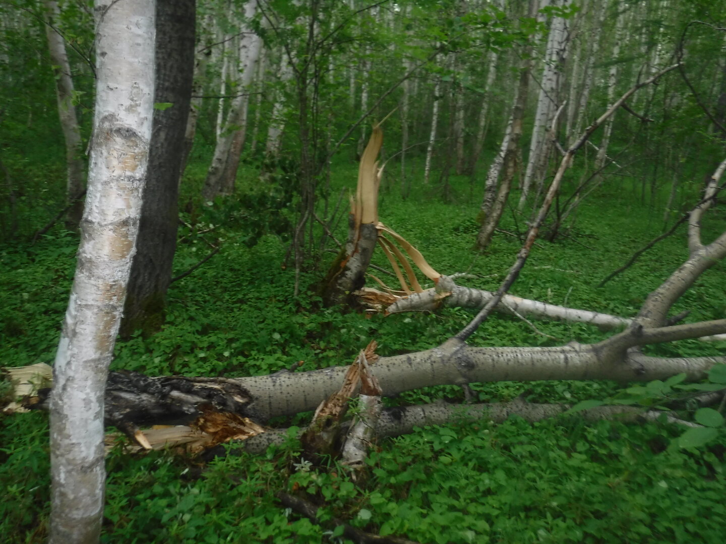DSCF1873.JPG