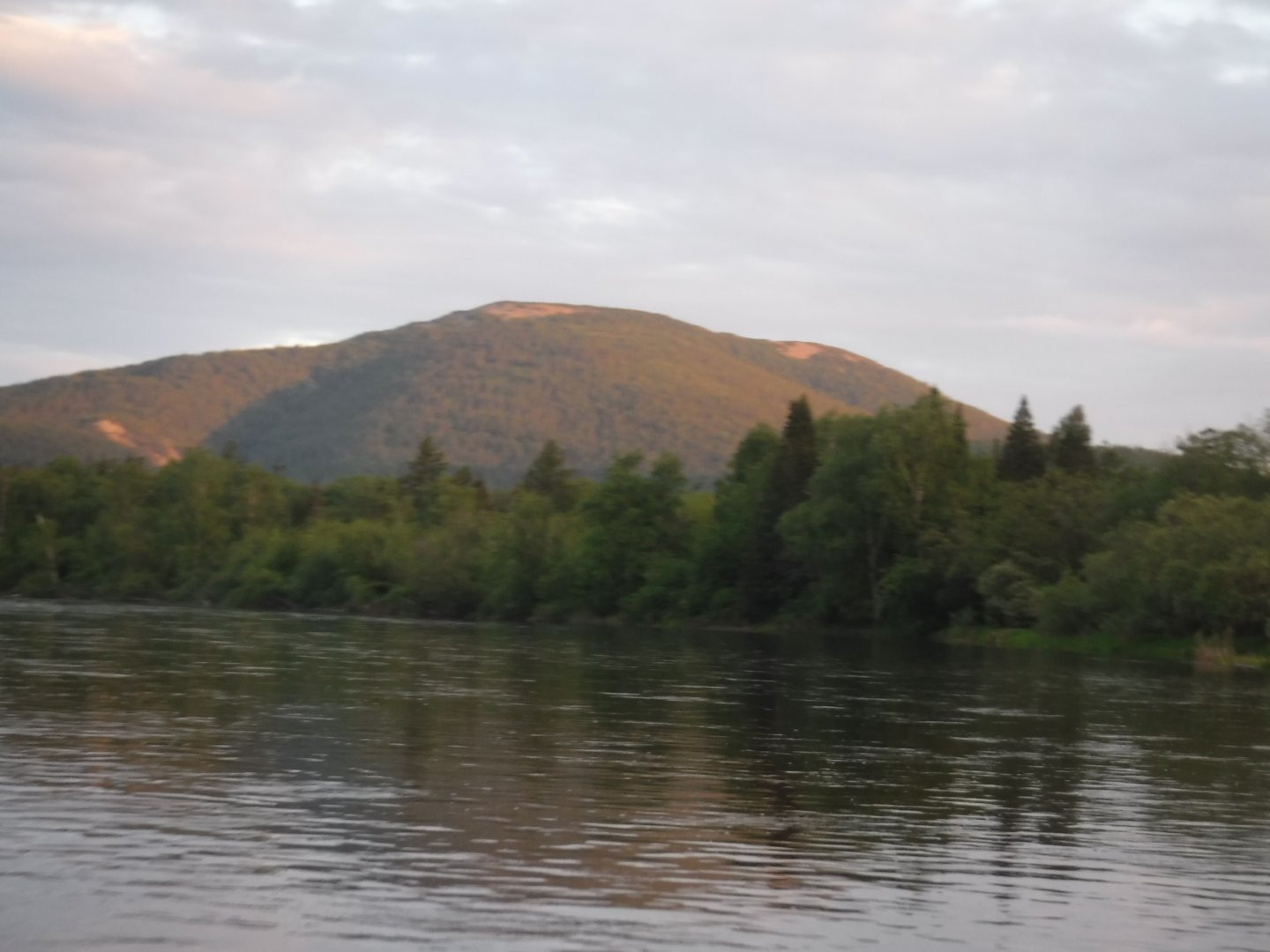 DSCF1879.JPG